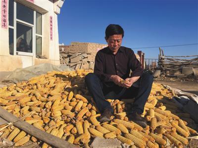 王力军非法经营玉米,申诉后再审改判无罪